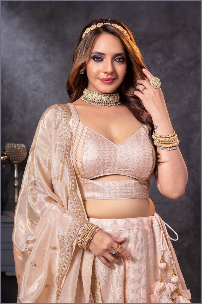 7009 Lehenga Choli