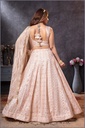 7009 Lehenga Choli