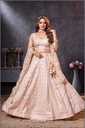 7009 Lehenga Choli